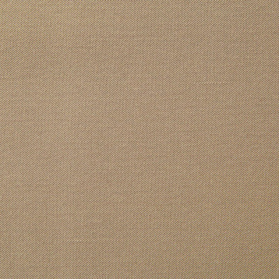 Костюмная ткань с вискозой "Меган" 18-1015, 210 гр/м2, шир.150см, цвет кофе милк - купить в Симферополе. Цена 380.91 руб.