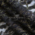 Кружевное полотно XD LACE 1-4, 80 гр/м2, шир.150см, цвет чёрный - купить в Симферополе. Цена 245.94 руб.