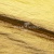 Текстильный материал "Диско"#1805 с покрытием РЕТ, 40гр/м2, 100% полиэстер, цв.5-золото - купить в Симферополе. Цена 412.36 руб.