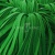 Шнур 15мм плоский (100+/-1м) №16 зеленый - купить в Симферополе. Цена: 10.32 руб.