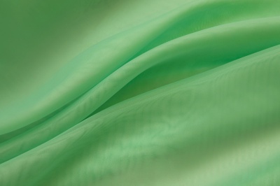 Портьерный капрон 15-6123, 47 гр/м2, шир.300см, цвет св.зелёный - купить в Симферополе. Цена 137.27 руб.