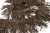 008-коричневый, Бахрома арт.001 шир.10см (упак.12+/-0,5м) - купить в Симферополе. Цена: 1 017.33 руб.