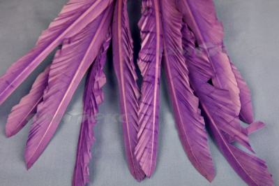 Декоративный Пучок из перьев, перо 25см/фиолетовый - купить в Симферополе. Цена: 12.19 руб.
