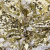 Трикотажное полотно, Сетка с пайетками, шир.130 см, #315, цв.-белый/золото - купить в Симферополе. Цена 693.39 руб.