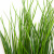 Трава искусственная -4, шт  (осока 50 см/8 см  7 листов)				 - купить в Симферополе. Цена: 130.73 руб.